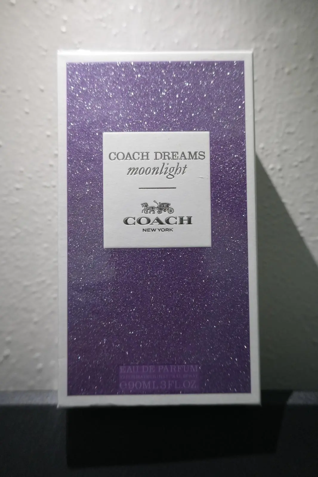 Moonlight Coach Dreams
